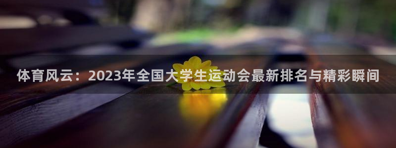 体育风云：2023年全国大学生运动会最新排名与精彩瞬间