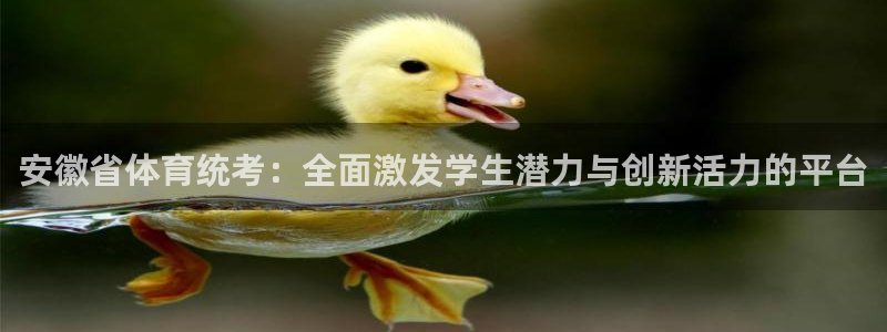 安徽省体育统考：全面激发学生潜力与创新活力的平台